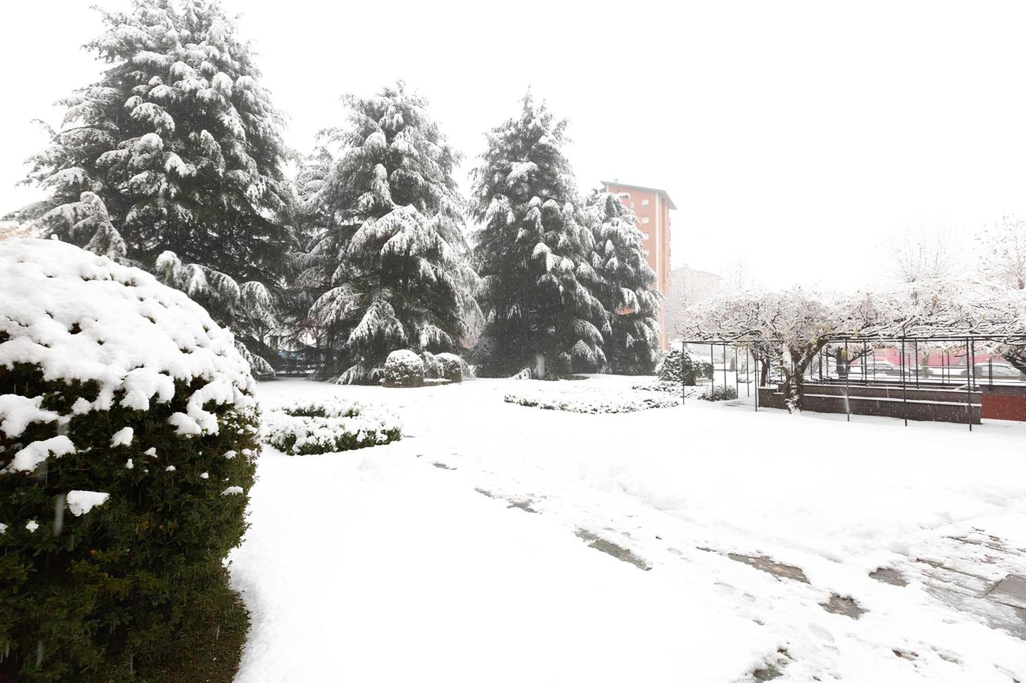 I Cedri Apartment Turin Bagian luar foto